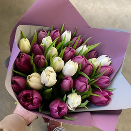 31 belo-fioletovij tyul_pan