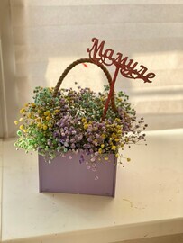 Mini-yashichek s gipsofiloj