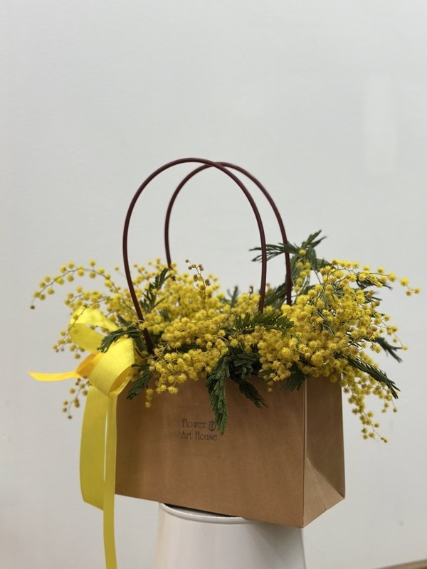 Сумочка с мимозой, стандартный