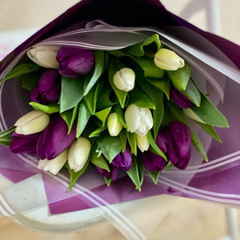 19 belo-fioletovih tyul_panov