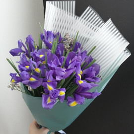 Букет из ирисов