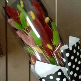 Микс из лагуруса