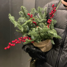 ZHivoj lapnik v dzhutovom kashpo