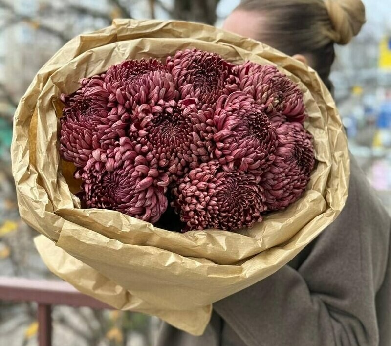 Buket iz 9 hrizantem, standart