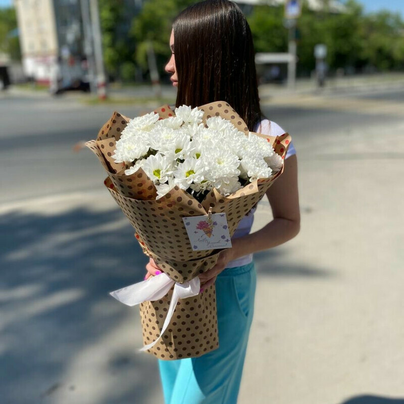 Любимые хризантемы, стандартный