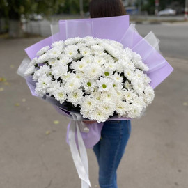 Букет из 21 белой хризантемы