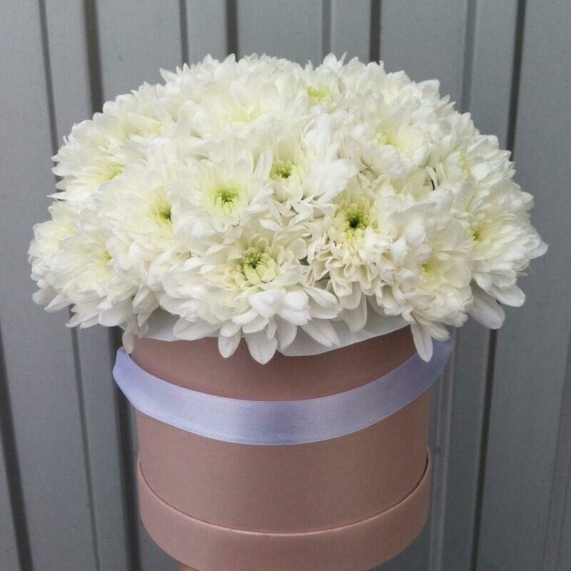 Pushistaya korobka s kustovoj hrizantemoj, reduced