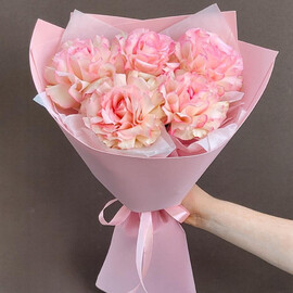 Frantcuzskaya roza Esperans