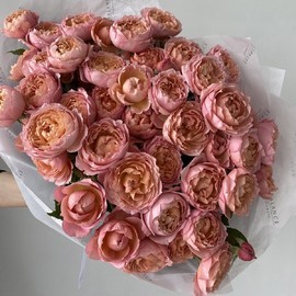 Buket kustovih pionovidnih roz Dzhul_etta