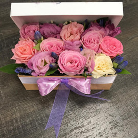 Комплимент