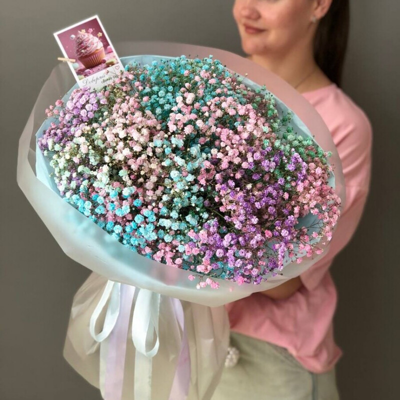 Радужная гипсофила, радужная гипсофила