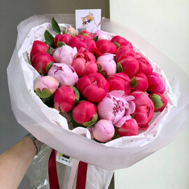 Luxury peonies mix