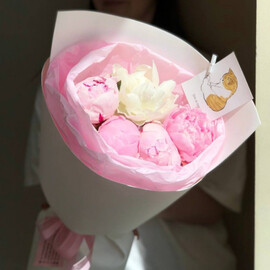 Bouquet of delicate peonies