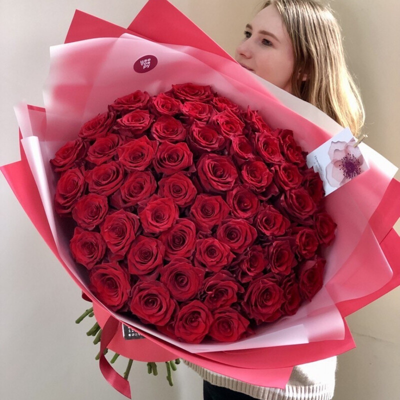 51 krasnaya roza Ekvador Premium, 51 krasnaya roza ekvador premium