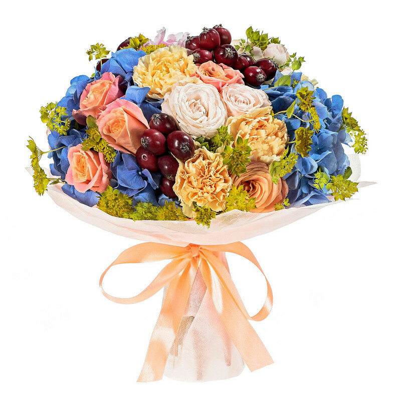 Spelost_ i Prohlada, standart