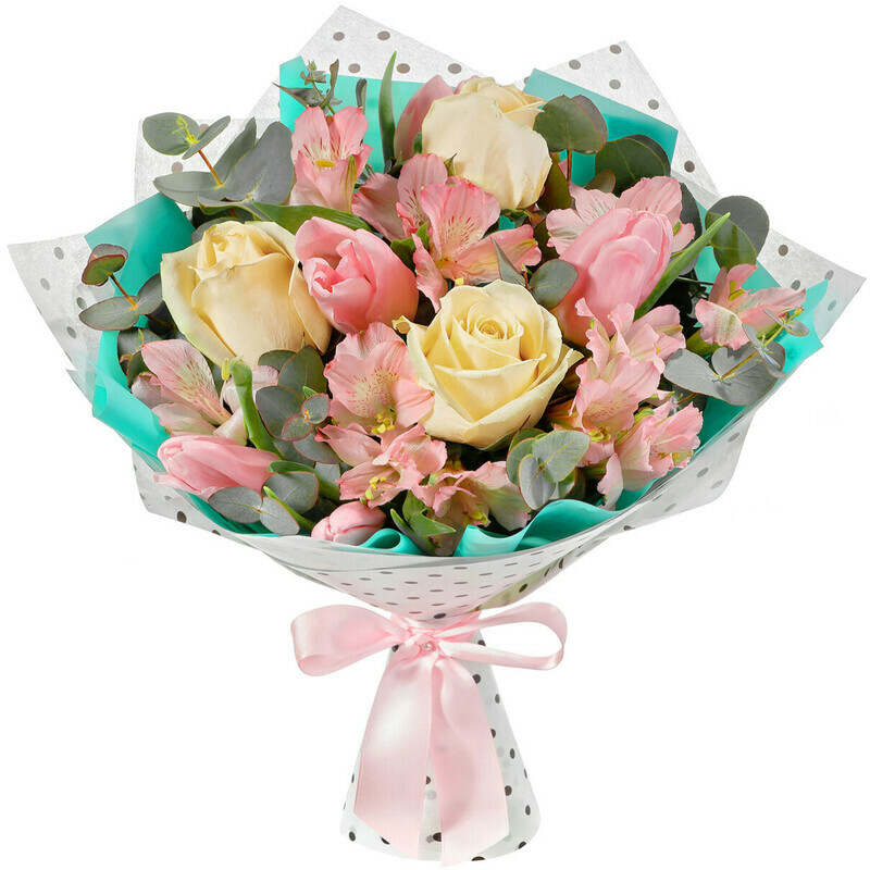 Прима-Балерина, стандартный