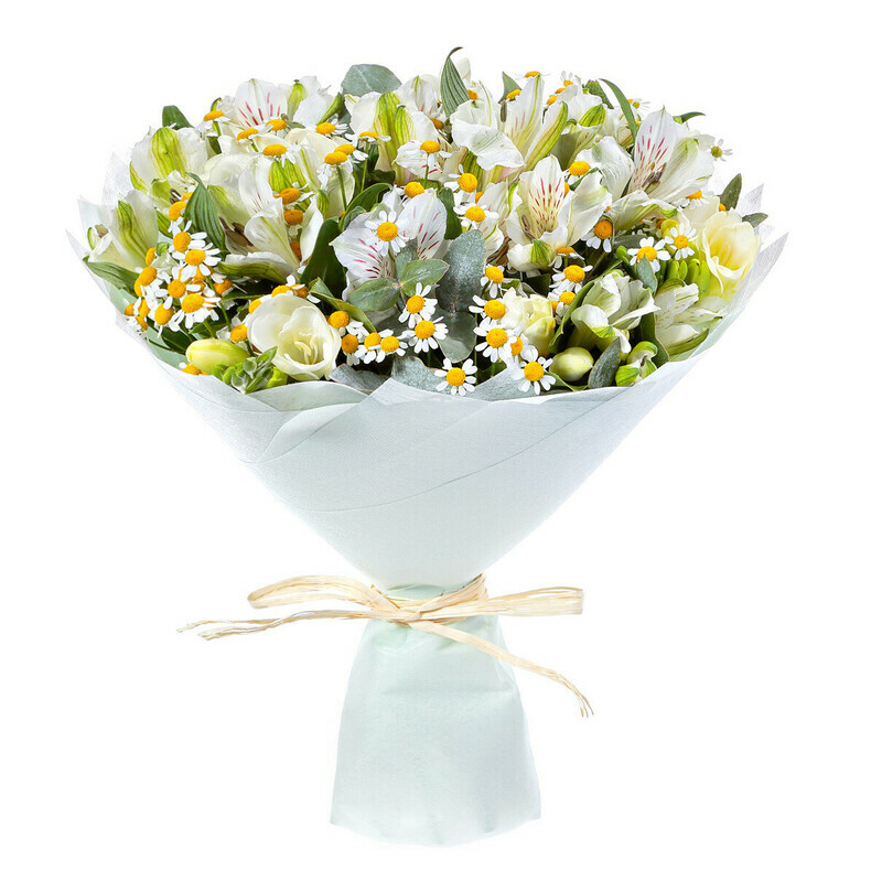 Nezhnaya Koroleva, reduced