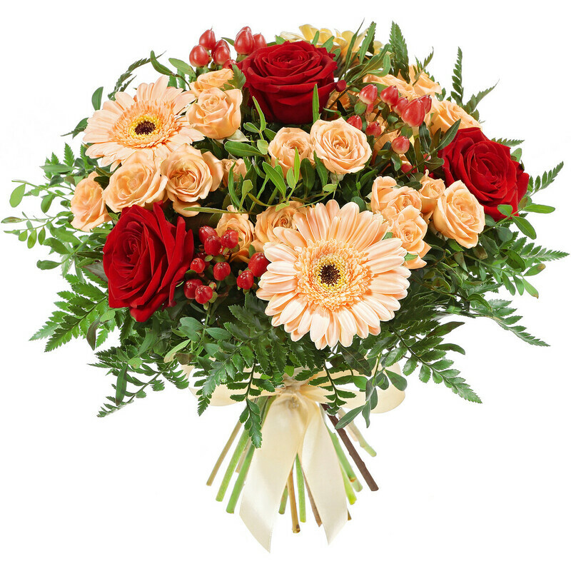 YArkie Ogni, standart