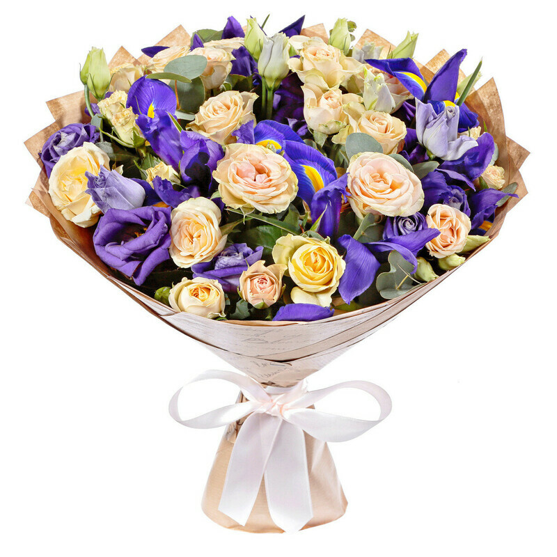 Звездная Ночь, стандартный