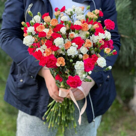 Гвоздика Микс 51 гвоздика