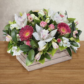 Чувство Стиля