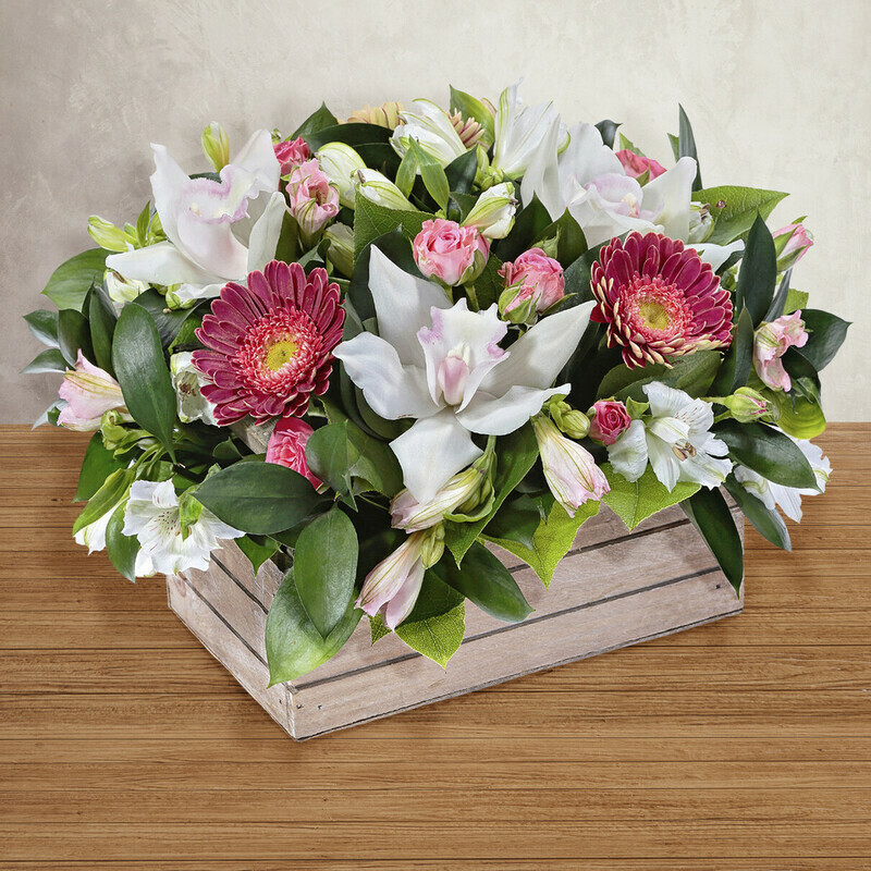 CHuvstvo Stilya, standart