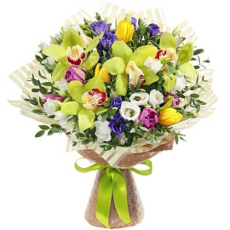 YArkaya Vesna, standart