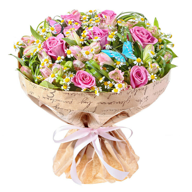 Моё Солнышко, стандартный