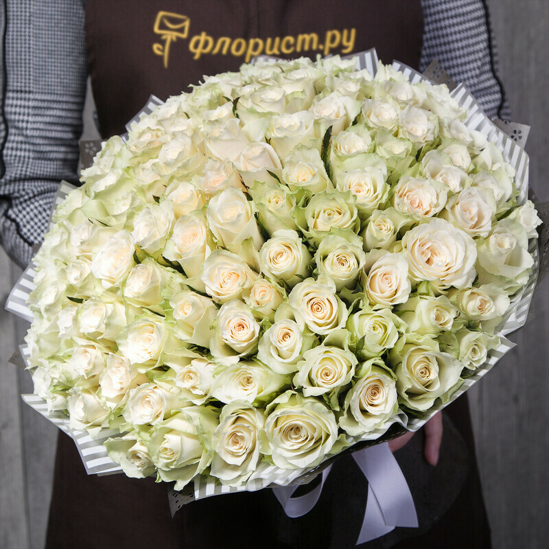 Белоснежные Розы 101 роза, 101 роза
