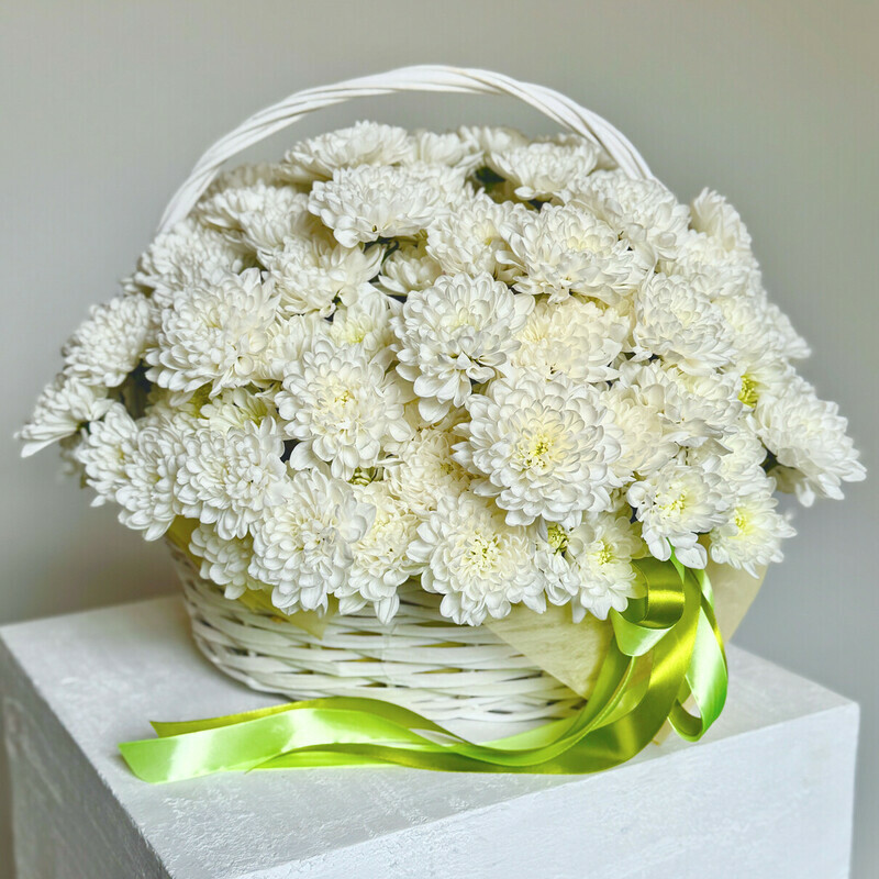 Korzina s Kustovimi Hrizantemami, standart