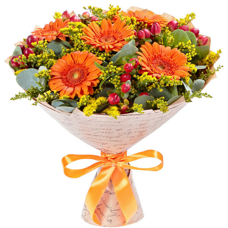 Med_ i Zoloto, standart