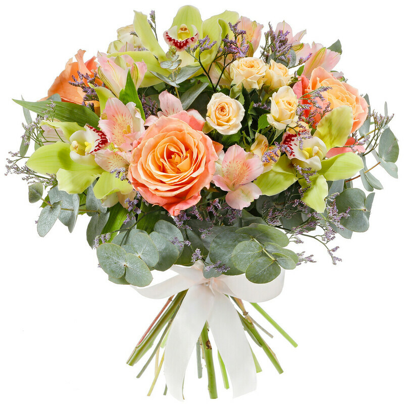 Рио-де-Жанейро, стандартный