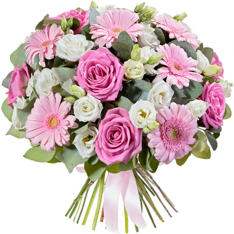 Нежное Признание, делюкс