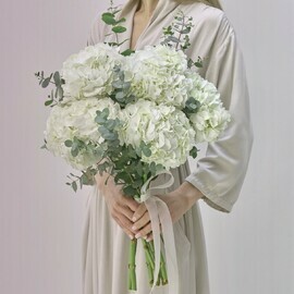 Облако из Белой Гортензии