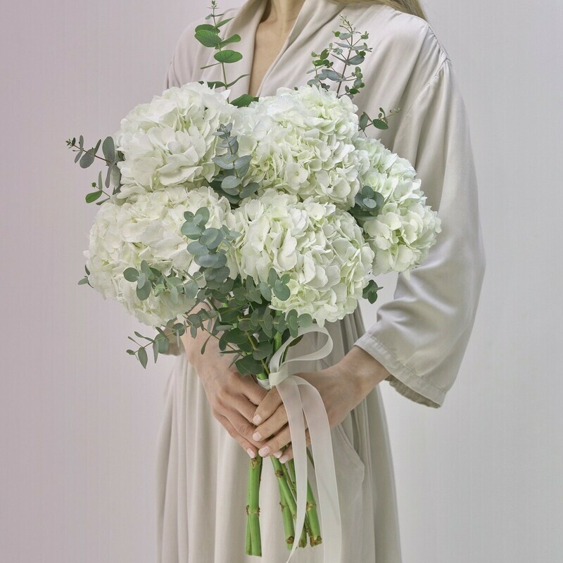 Oblako iz Beloj Gortenzii, standart