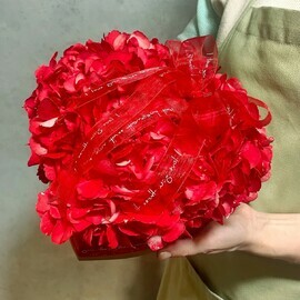 Serdtce iz Gortenzii