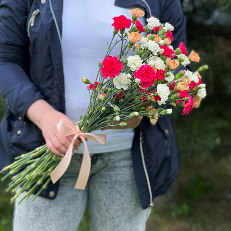 Гвоздика Микс, 25 шт.