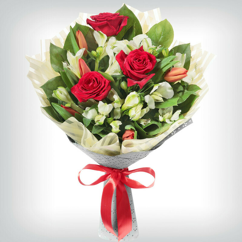 Красно-Белый Дуэт, стандартный