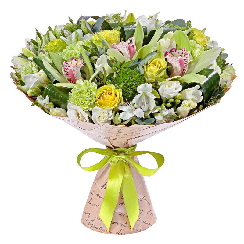 Лунная Нимфа, стандартный