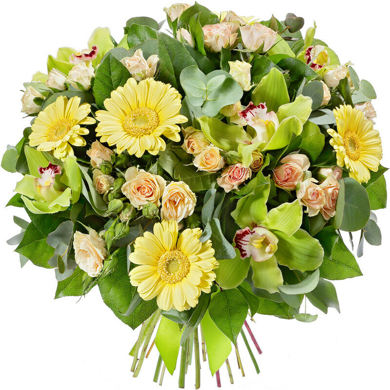 Poeziya TCvetov, luxe