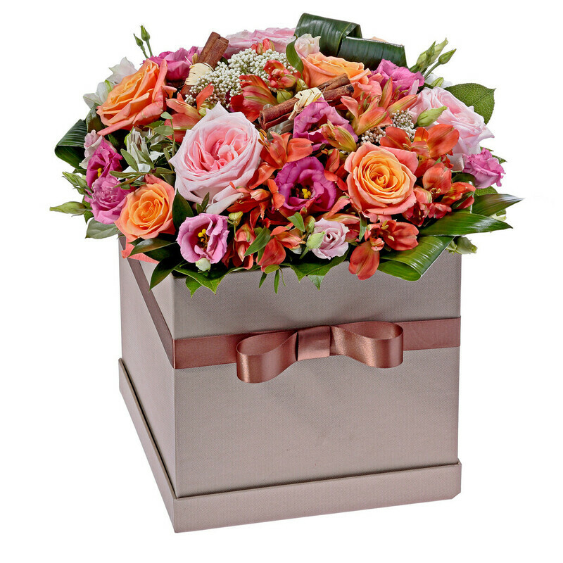 Коробка Французский Тренд, стандартный