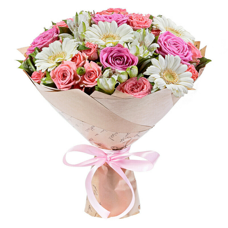 Прекрасная Мечта, стандартный