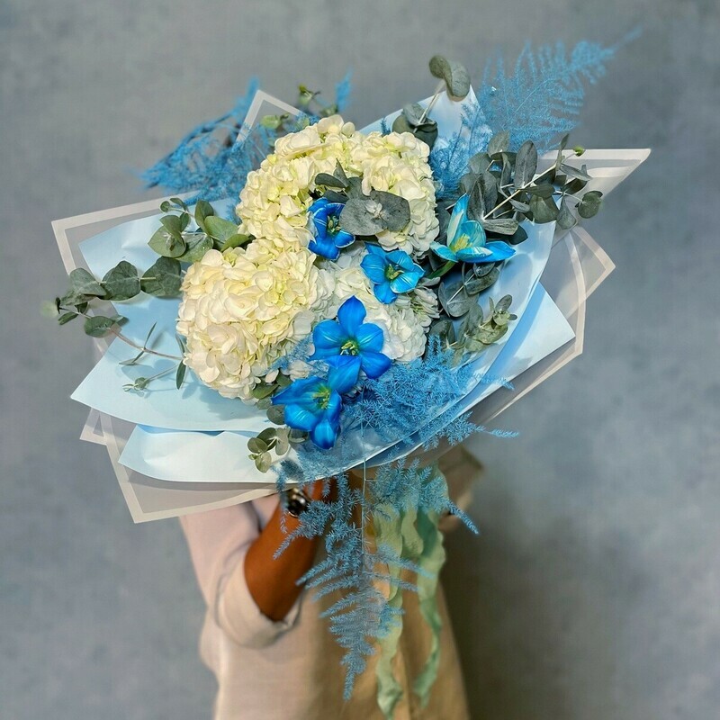 Северное Сияние, стандартный