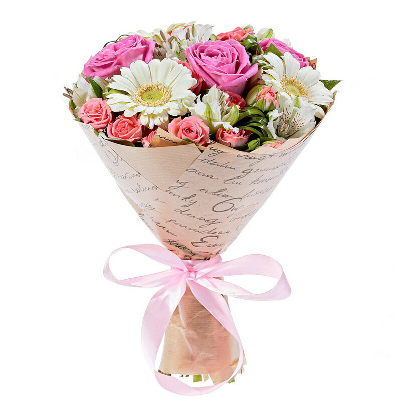 Прекрасная Мечта, уменьшенный