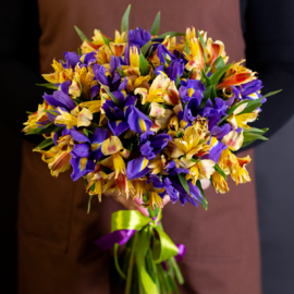 Al_stromerii i Irisi