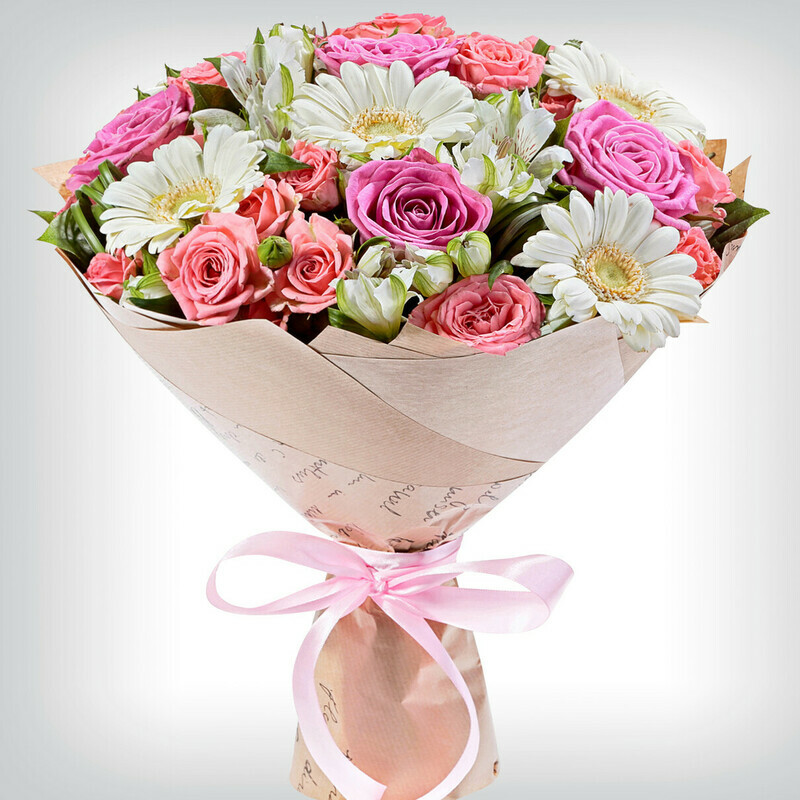 Прекрасная Мечта, стандартный