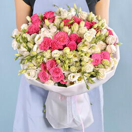 Нежное Облако