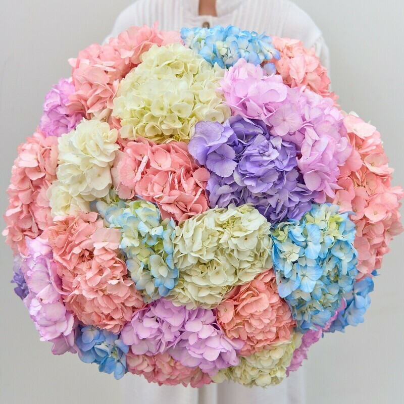 25 Gortenzij Miks, luxe