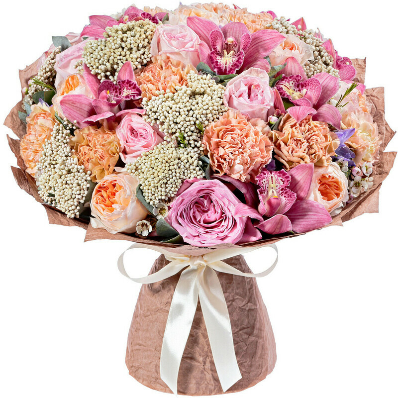 SHelest SHyolka, luxe