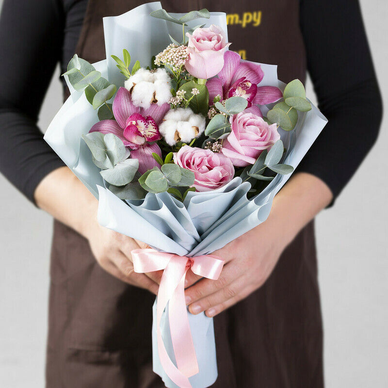 Ocharovanie SHyolka, standart